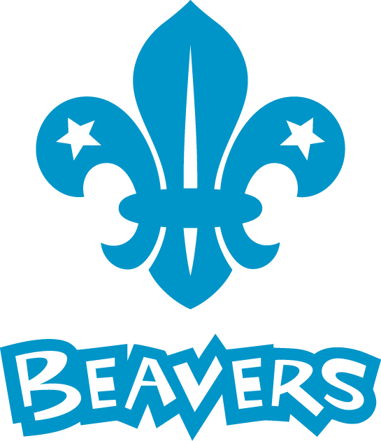 Beaver logo stack