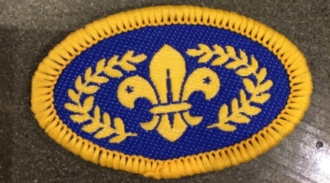 Chief Scouts Gold Award (Oval)