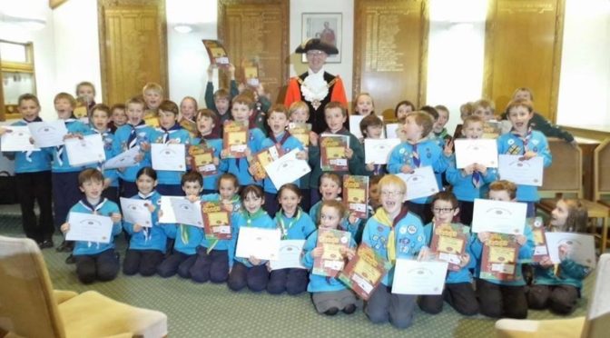 Beavers gain Chief Scout’s Bronze Awards
